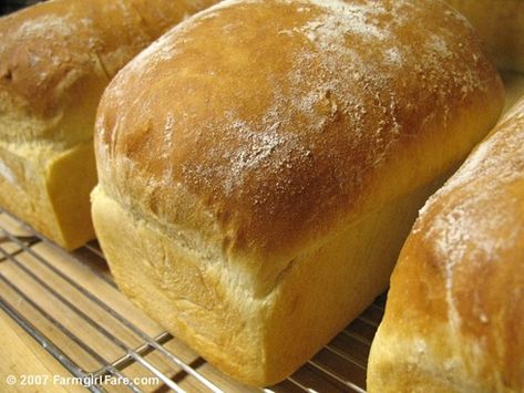 Farmgirl Fare: Farmhouse White: A Simple, Old-Fashioned Sandwich Bread Recipe for the Perfect BLT (or PBJ) Easy Sandwich Bread Recipe, White Sandwich Bread, Recipe Keeper, Honey Wheat Bread, Loaves Of Bread, White Bread Recipe, Sandwich Bread Recipes, Honey Wheat, Farmhouse White