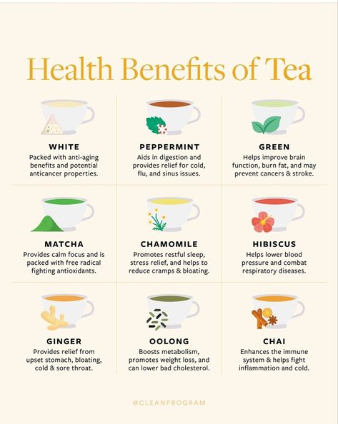 Health Benefits Of Tea, Boost Metabolism Drink, Benefits Of Tea, Tea Remedies, Tea Health Benefits, Healthy Teas, Peppermint Tea, Tea Benefits, Upset Stomach