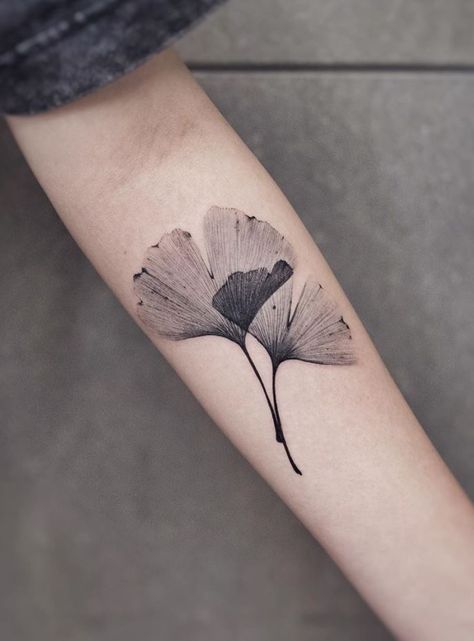 Ginkgo Tattoo - Get an InkGet an Ink Ginko Biloba Tattoo, Ginko Leaf Tattoo, Ginko Leaf Tattoos, Ginkgo Tattoo, Ginkgo Leaf Tattoo, Tattoo Leaf, Ginkgo Art, Botanisches Tattoo, Ginko Biloba