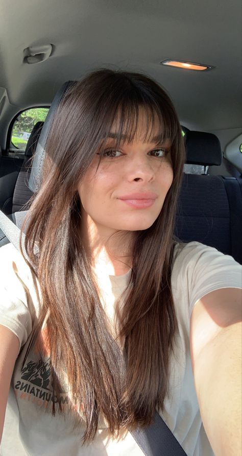 Brunette hair, bangs, layers Fringe Hair Inspiration, Feathered Bangs Straight Hair, Long Brown Hair With Bangs Fringes, Brunette Bangs Straight Hair, Brunette Wispy Fringe, Wispy Bangs With Layers Curly Hair, Long Brown Hair With Bangs Straight, Flimsy Bangs Hair, Feather Fringe Hair