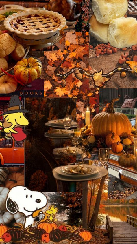 Photos not mine!! Thanksgiving Collage, Fall Vibes, Not Mine, Thanksgiving, Collage