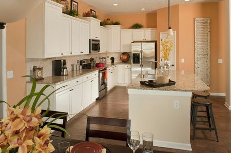 Peach kitchen walls What Colors Go With Peach, Peach And White Kitchen, Peach Colored Kitchen, Two Toned Kitchen Cabinets, Remodel Kitchen Ideas, Medallion Wall Art, Plants Pictures, Kitchen Unique, Peach Kitchen