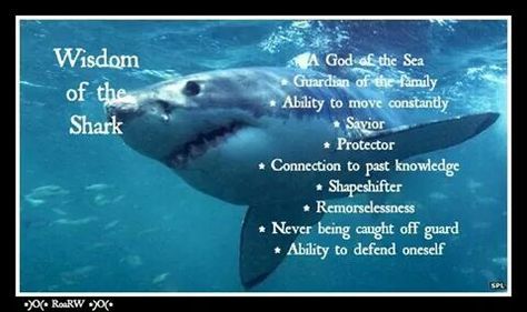 Wisdom of the shark Shark Symbolism, Shark Spirit Animal, Shark Meaning, Nature Worship, Witchcraft Meaning, Every Witch Way, Spirit Animal Meaning, Animal Meanings, Spirit Animal Totem