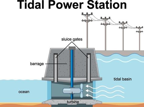 Tidal Power, Tidal Energy, Water Turbine, Renewable Energy Technology, Green Jobs, Future Energy, Engineering Challenge, Clean Technology, Energy Resources