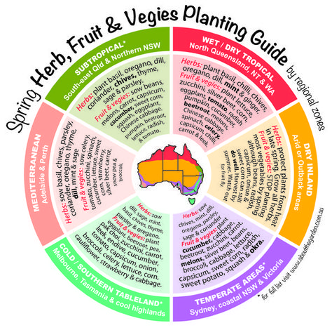 Spring Herb, Fruit & Vegies Planting Guide by temperate zones Australia.  For more http://www.aboutthegarden.com.au #grownow #vegetables #gardening Planting Guide Australia, Oregon Gardening, Flower Planting Guide, Growing Winter Vegetables, Vegetable Planting Guide, Serenity Garden, Patch Ideas, Yoga Outdoor, Planting Guide