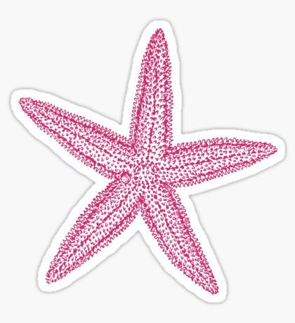 Pink starfish Sticker Starfish Sticker, Pink Starfish, Stickers Cool, Preppy Stickers, Stella Marina, Vinyl Bumper Stickers, Cute Laptop Stickers, Scrapbook Stickers Printable, Phone Stickers