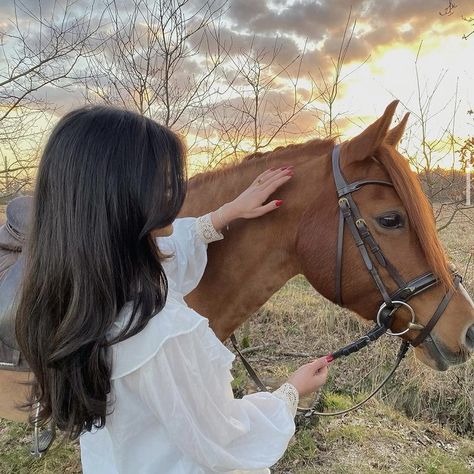 Summer Hamilton, Best Facebook Profile Picture, Horse Riding Aesthetic, Equestrian Aesthetic, Photography Shoot, Pregnancy Photography, Fairytale Photography, Horse Aesthetic, English Riding