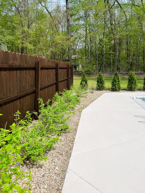 Stained Concrete Pool Deck - The Lilypad Cottage Painted Pool Deck, Concrete Paint Colors, Pool Stains, Diy Concrete Stain, Concrete Pool Deck, Lilypad Cottage, Old Concrete, Deck Stain, Concrete Paint