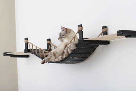 Cat Bridge, Cat Climbing Wall, Chat Diy, Space Fabric, Cat Tree Condo, Cat Perch, Cat Hammock, Vantage Point, Cat Shelves