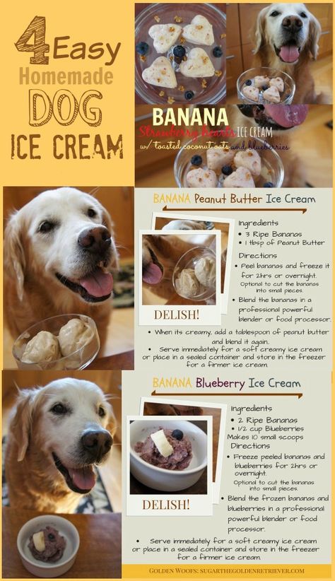 4 Easy Homemade Dog Ice Cream Recipes - Sugar The Golden Retriever Homemade Dog Ice Cream, Dog Ice Cream Recipe, Frozen Dog Treats, Dog Ice Cream, Healthy Dog Treats Homemade, Dog Treats Homemade Recipes, Frozen Dog, Food Dog, Diy Dog Treats