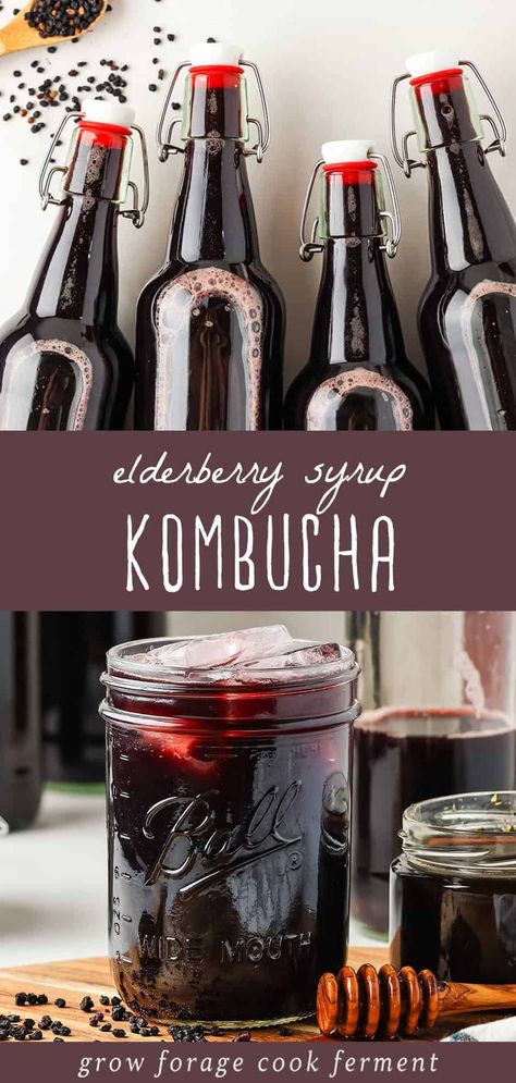 Learn how to make elderberry kombucha, a super delicious and fizzy second ferment with health benefits. Combining elderberry syrup with basic kombucha, this drink offers probiotics for gut health and immune-boosting properties, perfect for cold and flu season. Make it with fresh or dried elderberries this fall! Find more healing herbal infusions, gut-healthy drinks, immune boosting drinks, and homemade elderberry recipes at growforagecookferment.com. Immune Boosting Drinks, Benefits Of Elderberry Syrup, Watermelon Kombucha, Blueberry Kombucha, Kombucha Flavors Recipes, Benefits Of Elderberry, Green Tea Kombucha, Dried Elderberries, Elderberry Benefits