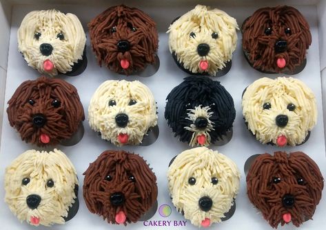 Birthday pup cakes Golden Doodle Cupcakes, Dog Decorated Cupcakes, Cockapoo Cake, Dog Face Cake, Farm Cupcakes, Puppy Dog Cupcakes, Pup Cakes, Puppy Dog Cakes, Adorable Cupcakes