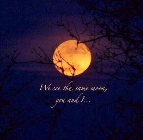 Full Moon Quotes, You And Me Quotes, Love By The Moon, Moon Quotes, Moon Journal, Autumnal Equinox, Star Quotes, Soulmate Quotes, Sun Moon And Stars