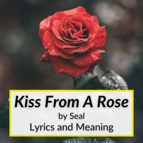 Seal has always refrained from explaining the Kiss from a Rose lyrics meaning. He feels it is better that way. But he has given us clues over the years, like... Lyric Meanings, The Rose Lyrics, Famous Song Lyrics, Kiss From A Rose, Lyrics Meaning, Katherine Jenkins, Song Of The Year, Song Lyric, The Kiss