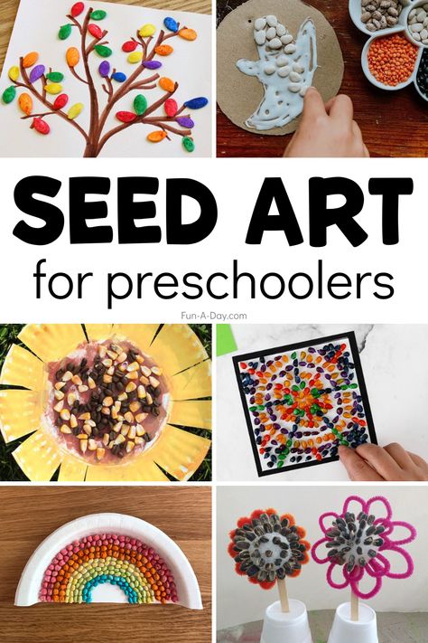 Seed Activities For Preschool, Seed Art For Kids, Pumpkin Seed Activities, Seed Activities For Kids, Seed Crafts For Kids, Paper Plate Art, Seed Craft, Art Ideas For Kids, Kids Collage