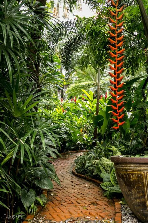 Small Tropical Gardens, Bali Garden, Balinese Garden, Palm Trees Landscaping, Container Water Gardens, Tropical Landscape Design, Balinese Style, Tropical Garden Design, Jungle Gardens