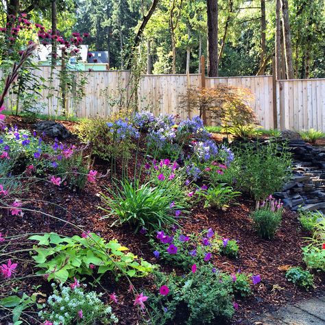 Slope garden in Pacific NW Northwest Garden Ideas, Pnw Landscaping, Sloping Gardens, Pacific Northwest Landscape, Slope Garden, Sanctuary Garden, Pnw Garden, Pacific Northwest Garden, Mediterranean Garden Design