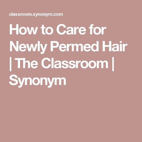 How to Care for Newly Permed Hair | The Classroom | Synonym Best Curl Products, Curly Permed Hair, Field Trip Ideas, New Perm, Long Hair Perm, School Test, Brownie Girl, Permed Hair, Long Hair Care