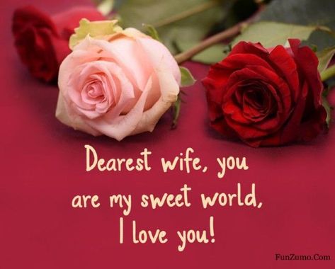 My Wife Is Beautiful Quotes, Love You Wife Quotes Beautiful, I Love You My Wife, Good Night Love Text, Good Morning Love Text, Romantic Quotes For Wife, Marriage Life Quotes, Romantic Lines, Birthday Gifts For Wife