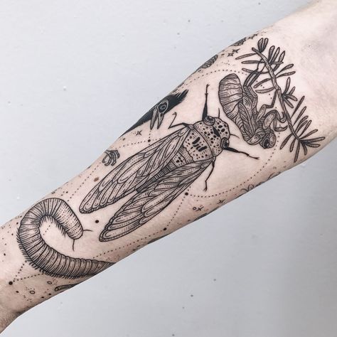 Pony Reinhardt, Cicada Tattoo, Bug Tattoo, Insect Tattoo, Aesthetic Tattoo, Sleeve Tattoos For Women, Nature Tattoos, Fine Line Tattoos, Tattoo Design Drawings