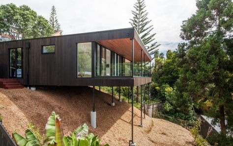 Ducansby Road, Red Beach, Auckland / Ltd Architectural. Image Courtesy of ADNZ Red Architecture, Pole House, Slope House, Architectural Design Studio, Hillside House, House On Stilts, Beach House Design, A Hill, Prefab Homes