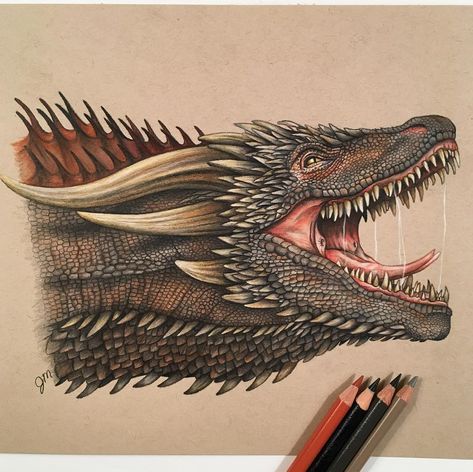 Series Drawings, Dragon Game Of Thrones, Dessin Game Of Thrones, Drawing Dragon, I Want Her, Game Of Thrones Dragons, Asoiaf Art, Dragon Sketch, Sketch Tattoo