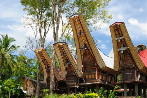 Tongkonan are traditional Torajan houses that can be found in the mountainous region of South Sulawesi, Indonesia. The wooden houses have a unique shape with a sweeping curved arc bamboo roof and feature intricately carved exterior walls. Indonesian House, Tana Toraja, South Sulawesi, House Design Trends, Traditional Houses, Vernacular Architecture, Unique Houses, Komodo, Cultural Diversity