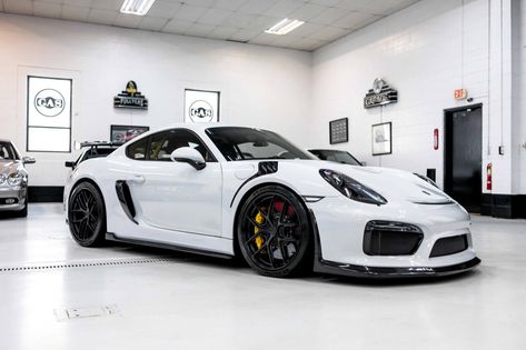 Porsche Cayman GT4 2016 - elferspot.com - Marktplatz für Porsche Sportwagen Porsche Gt4 Cayman, Porsche Cayman Gts, Porsche Gts, Porsche Cayman Gt4, Roadster Car, Porsche 718 Cayman, Cayman Gt4, Porsche Sports Car, Couple Stuff