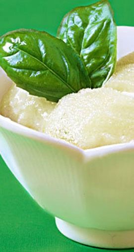 Basil Lime Sorbet | gimmesomeoven.com Lime Sorbet Recipe, Basil Sorbet, Frozen Treats Recipes, Artisan Ice Cream, Sorbet Recipe, Lime Sorbet, Ice Cream Maker Recipes, Basil Recipes, Lime Basil