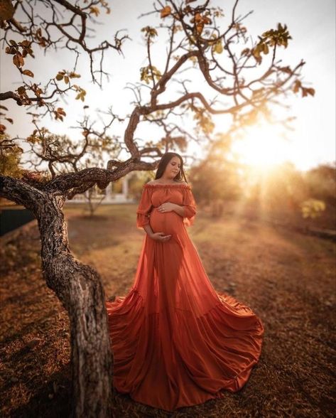 Maternity Photography Fluffy Dress, February Maternity Photos Ideas, Maternity Photography Big Dress, November Maternity Photoshoot Ideas, Flowy Dress Maternity Shoot, Fall Themed Maternity Pictures, March Maternity Photoshoot, February Maternity Photoshoot, Fall Maternity Photoshoot Ideas