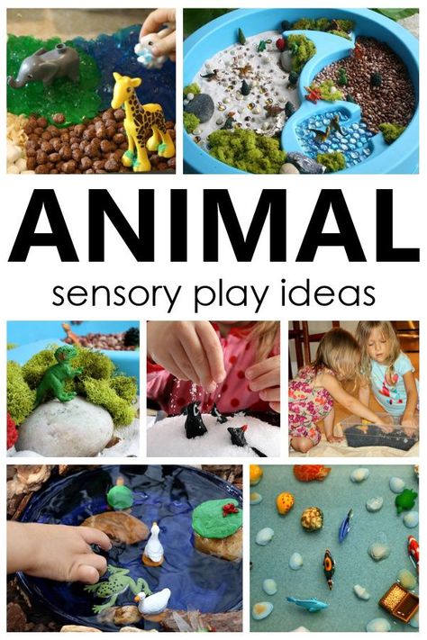 Animal Sensory Play Ideas and Animal Sensory Bins for Toddlers and Preschoolers Sensory Bins Animals, Fine Motor Animal Activities, Zoo Sensory Bin Preschool, Animal Activities For Babies, Animal Sensory Activities, Animal Sounds Activity, Animal Activities For Toddlers, Animal Sensory Play, Animal Sensory Bin