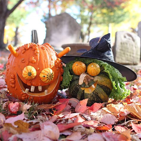 Take a journey with us through an enchanted forest where the pumpkins are creative yet frightfully easy to make. Follow our simple instructions to create the perfect jack-o’-lantern. This adorably ugly couple has found true Halloween love. To duplicate this duo of doom, first you’ll need to peruse your pumpkin patch for a long, curvy-stemmed pumpkin or gourd and a warty-fleshed pumpkin (such as the knucklehead variety). Pumpkin Carving Ideas Easy, Creative Pumpkin Carving, Easy Pumpkin Carving, Pumpkin Contest, Pumpkin Carving Ideas, Lantern Ideas, Spooky Halloween Party, Creative Pumpkins, Pumpkin Ideas