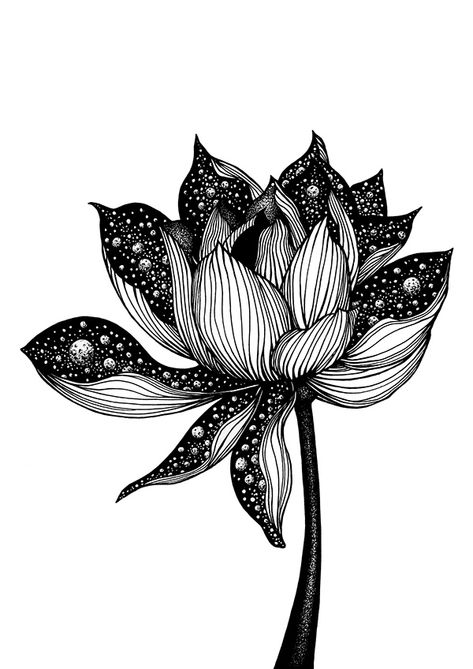 Modele Zentangle, Drawing Graphic Design, Galaxy Flowers, Zentangle Flowers, Lotus Flower Art, Drawing Graphic, Zentangle Artwork, Zentangle Drawings, Mandala Design Art