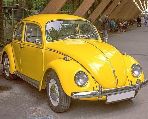 Old Volkswagen Beetle, Old Volkswagen, Vw Beetle For Sale, Volkswagen Beetle Vintage, Vw Super Beetle, Volkswagen Beetles, Vw Sedan, Volkswagen Van, Classic Volkswagen