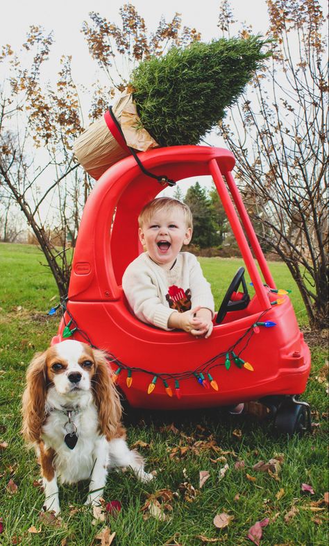 Toddler Christmas photo 2nd Christmas Photos, At Home Toddler Christmas Photoshoot, One Year Old Christmas Birthday Photos, 1 Year Christmas Photoshoot, Toddler Christmas Photoshoot Ideas, Christmas One Year Old Photoshoot, Baby And Toddler Christmas Photos, Toddler Christmas Picture Ideas, Diy Christmas Toddler Photoshoot