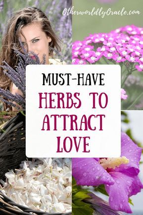 Love Herbs Witchcraft, Herbs For Love, Herb Apothecary, Witch Cabinet, Candle Ingredients, Love Herbs, Hedge Witchery, Witch Recipes, Herbal Witch