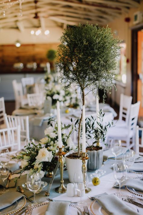 Rosemary Centerpiece, Plant Centerpieces Wedding, Mediterranean Wedding Decor, Tree Centrepiece Wedding, Potted Plant Centerpieces, Wedding Organisation, Lavender Quinceanera, Tree Wedding Centerpieces, Plant Centerpieces