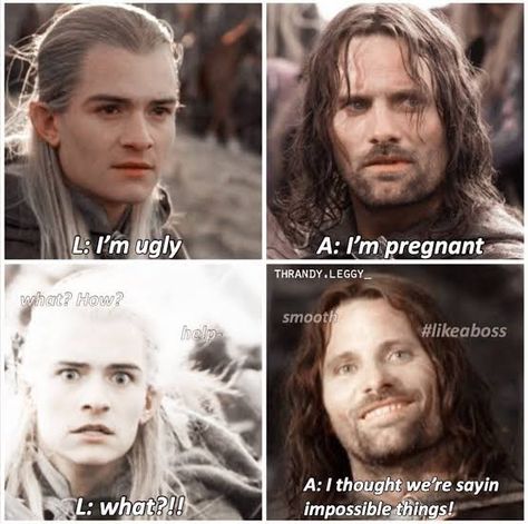 Legolas Funny, Funny Lotr, Legolas And Aragorn, Tolkien Funny, Lotr Cast, Earth Memes, Legolas And Thranduil, Lotr Funny, Sherlock Quotes