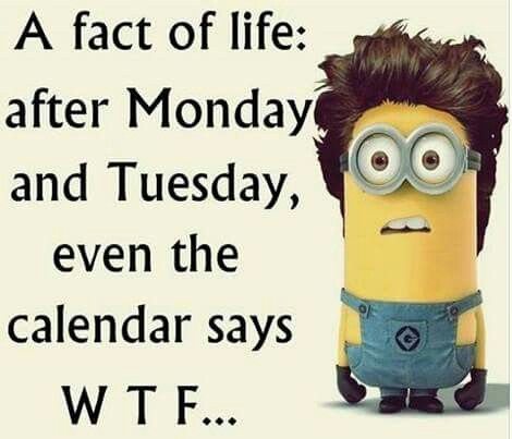 Well, it's true! Funny Quotes Minions, Minion Stuff, Funny Quotes Wallpaper, Minion Memes, Funny Mean Quotes, Funny Minion Memes, Funny Day Quotes, Disney Quotes Funny, Minion Jokes