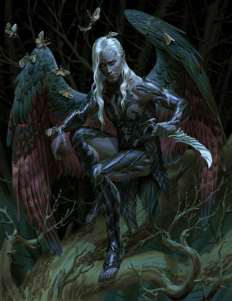 ArtStation - Dark Elf Winged Elf, Winged Oc, Dnd Portraits, Dnd Party, Curse Of Strahd, Mtg Art, Dark Elves, Dark Elf, The Curse