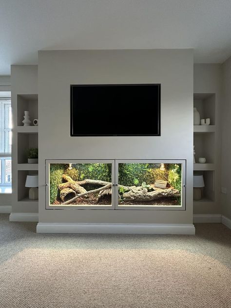 DIY Reptile Enclosures | MEDIA WALL VIVARIUM😍 Tortoise Vivarium, Diy Reptile, Snake Terrarium, Snake Enclosure, Wall Aquarium, Reptile Room, Animal Ideas, Reptile Cage, Reptile Enclosure