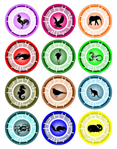 Creature Power Discs Printable, Wild Kratts Creature Power Discs, Creature Power Discs, Minecraft Bow And Arrow, Wild Kratts Costume, Easter Egg Pictures, Hop Tattoo, Wild Kratts Birthday Party, Wild Kratts Party