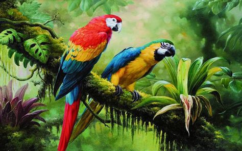 Macaw Parrot Wild Birds From Jungle Rainforest Swamp Green Dense Vegetation Art Photography Parrot On Branch Hd Wallpaper For Pc Tablet And Mobile 3840×2400 #4K #wallpaper #hdwallpaper #desktop Parrot Painting, Parrots Art, Macaw Parrot, Hur Man Målar, Bird Wallpaper, Tropical Forest, Cross Paintings, Wild Birds, Birds Painting