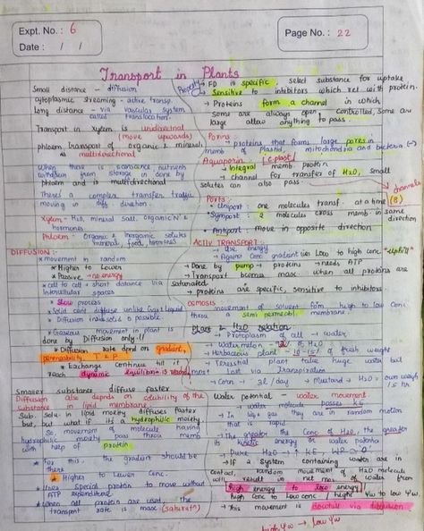 Notes of Transport in Plants of the Unit Plant Physiology. Transport In Plants Notes, Transport In Plants Biology Notes, Transport In Plants, Bio Notes, Science Study, Plant Physiology, Plant Notes, Physics Formulas, Chemistry Education