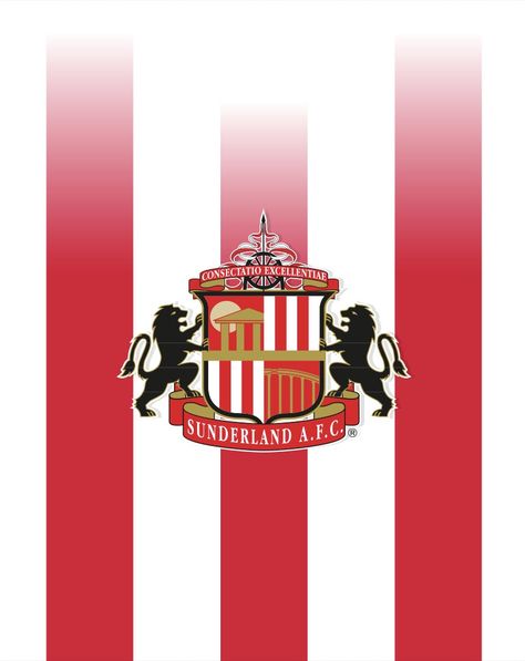 Sunderland wallpaper. Sunderland Wallpaper, Stadium Of Light Sunderland, Sunderland Afc, Eminem Photos, Football Wallpaper, Sunderland, Eminem, Red And White, Football