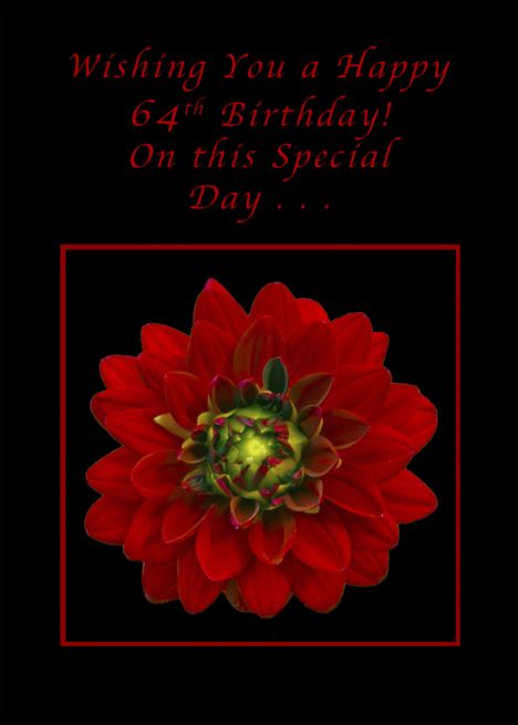 Happy 64th Birthday, Red Dahlia card Happy 67th Birthday, Happy 56 Birthday, Happy 78th Birthday, Happy 73rd Birthday, Happy 68th Birthday, Happy 57th Birthday, Happy 47th Birthday, Happy 48 Birthday, Happy 66th Birthday