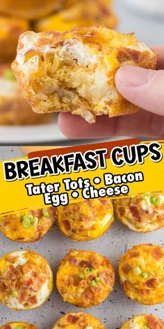 Our Breakfast Cups, or tater tot breakfast bites, are crispy tater tots mashed into a muffin pan, filled with eggs, cheese, and bacon, and then baked into mini muffin cups. These egg bites are perfectly balanced, protein-packed packages that make a hearty, homemade breakfast option when you need to get out the door in a hurry! Omelet Breakfast Cups, Small Bites Breakfast, Tater Tot Egg Bites, Tater Tot Breakfast Cups, Hashbrown Nests Breakfast Cups, Easy Egg Cups Breakfast, Tator Tot Muffin Cups, Won Ton Cups Muffin Tins, Breakfast Casserole Bites