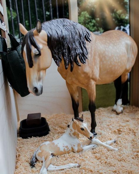 Schleich Horse Photography, Schliech Barn Ideas, Model Horse Stable, Model Horse Diorama, Breyer Horse Photography, Schleich Horses Diy, Breyer Horses Scenes, Collecta Horses, Horse Diorama