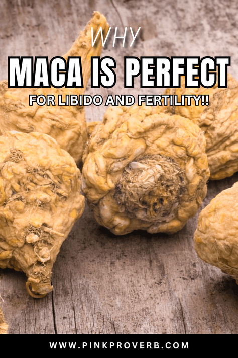 Why Maca Is Perfect for Libido and Fertility!! Maca Root Fertility, Libido Boost, Source Of Protein, Maca Root, Living A Healthy Life, Vegetarian Diet, Protein Sources, Natural Wellness, Fertility