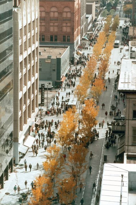 16th Street Transitway Mall | Pei Cobb Freed & Partners Urban Streetscape, Streetscape Design, Street Mall, Architect Drawing, Pedestrian Street, Downtown Denver, Walking Street, Landscape Architecture Design, Street Design